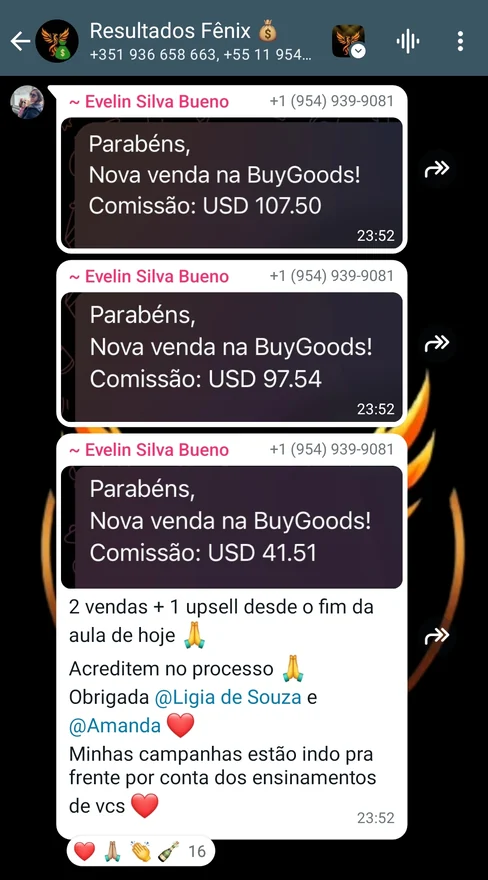 Depoimento de aluno enviado no grupo
